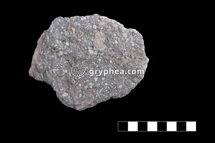 Andésite - échantillon (Mount Lassen, Chaîne des Cascades, Washington, USA) - gryphea.org